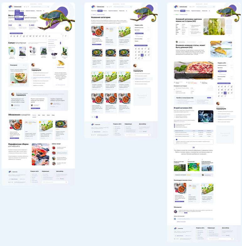 [Студия Сеоника] Марафон лайт по запуску сайта и н_0.png